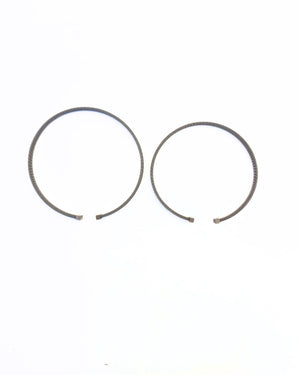 Vis necklace