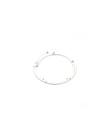 Polaris collana