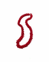 Palma collana