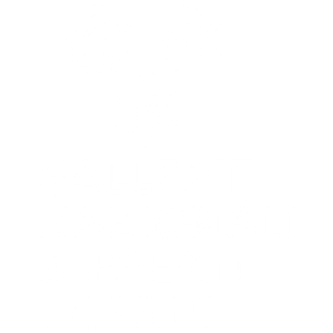 gallerie nazionali barbarini corsini