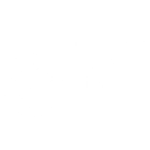 new york public library